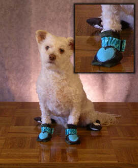 Tacky Paws dog slippers help walk on hard surfaces