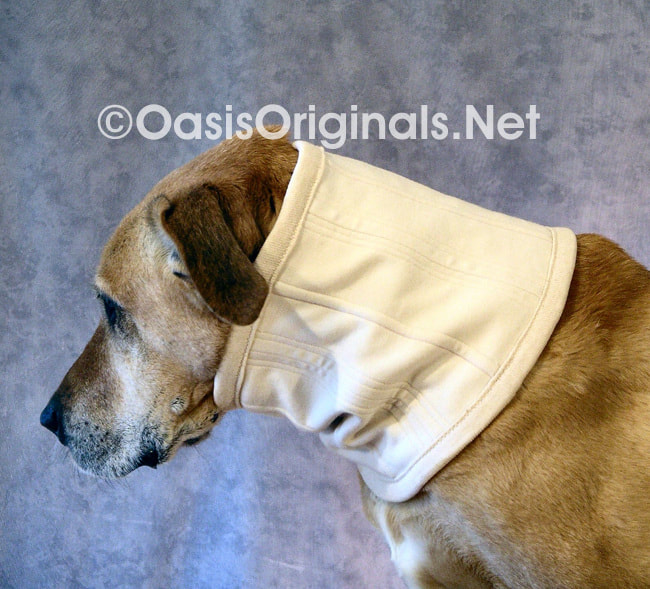 Dog neck guard side view 
